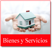 Bienes y Servicios